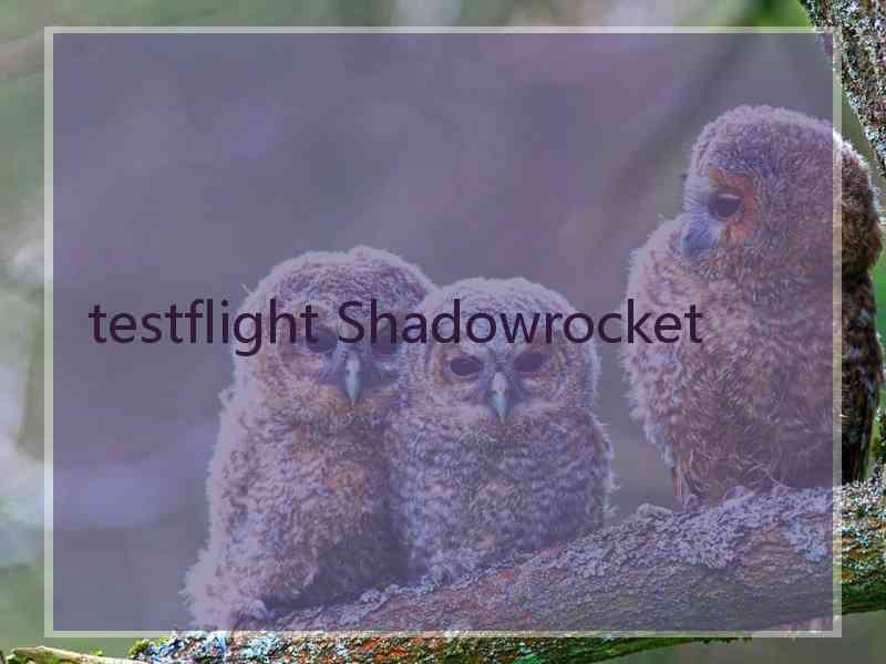 testflight Shadowrocket
