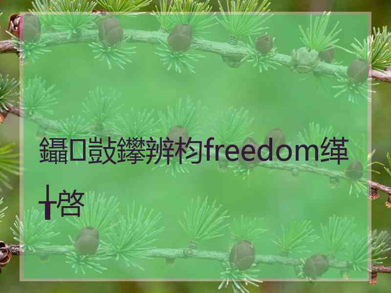 鑷敱鑻辨枃freedom缂╁啓