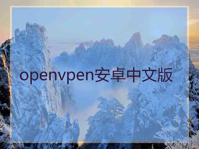 openvpen安卓中文版