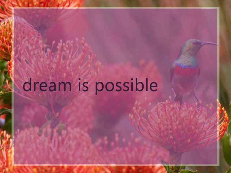 dream is possible