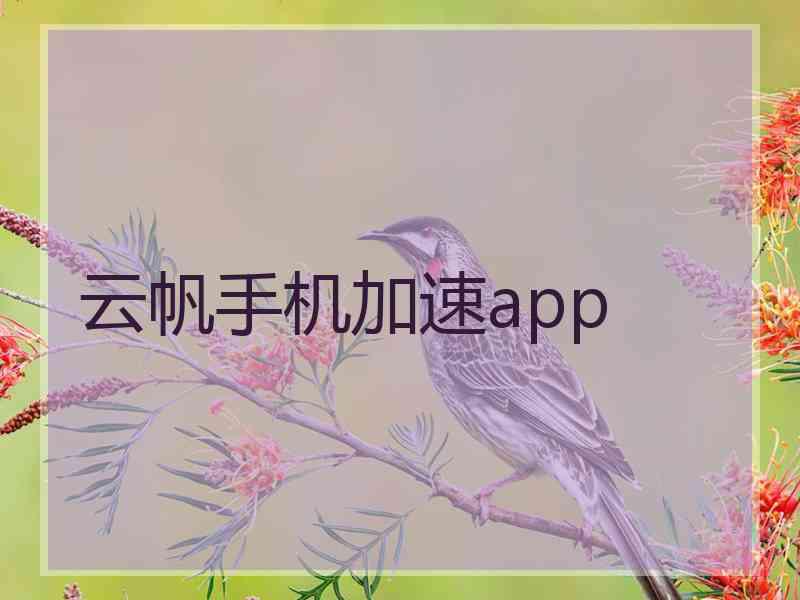 云帆手机加速app