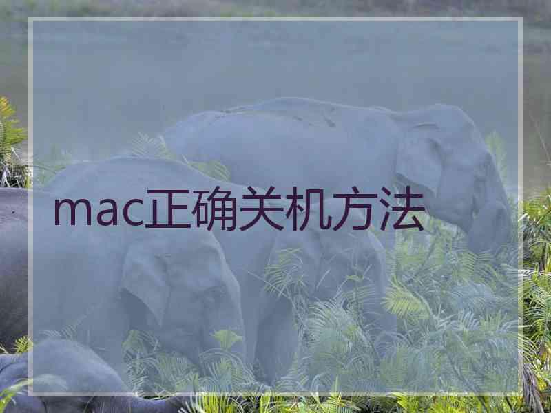 mac正确关机方法