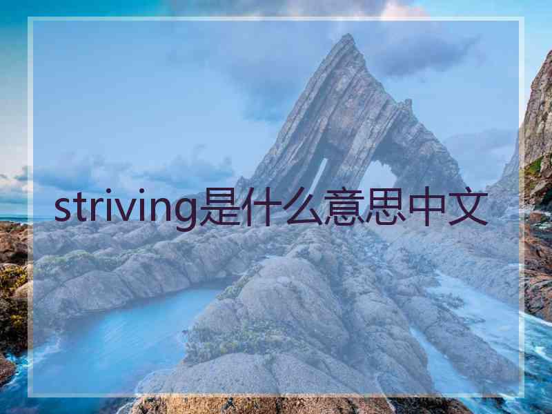 striving是什么意思中文