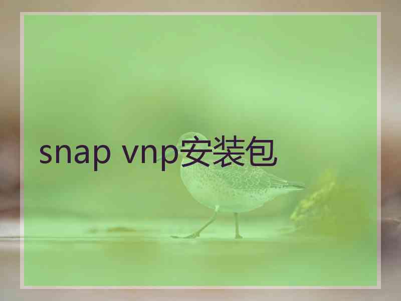 snap vnp安装包