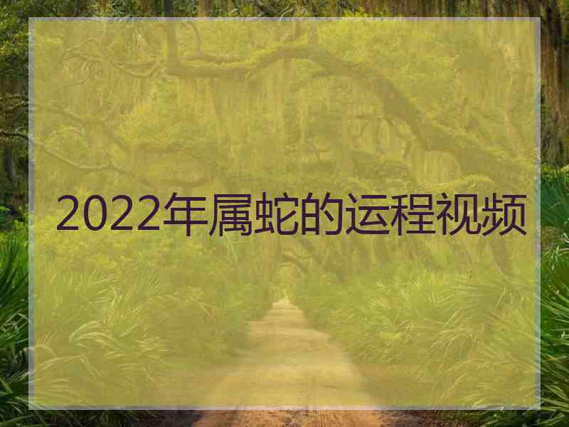 2022年属蛇的运程视频