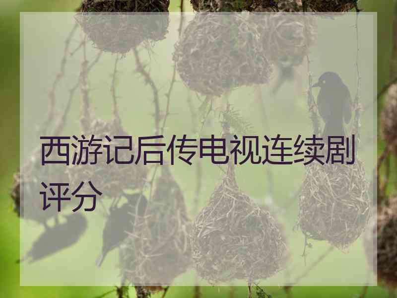 西游记后传电视连续剧评分