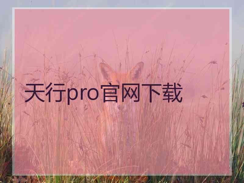 天行pro官网下载