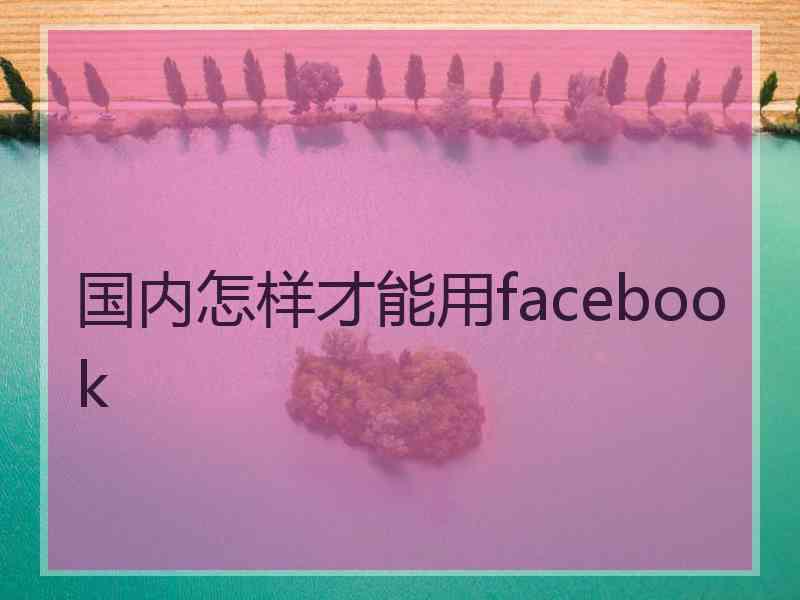 国内怎样才能用facebook