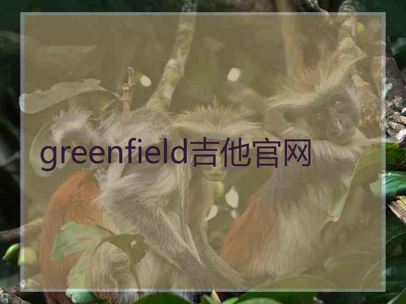 greenfield吉他官网