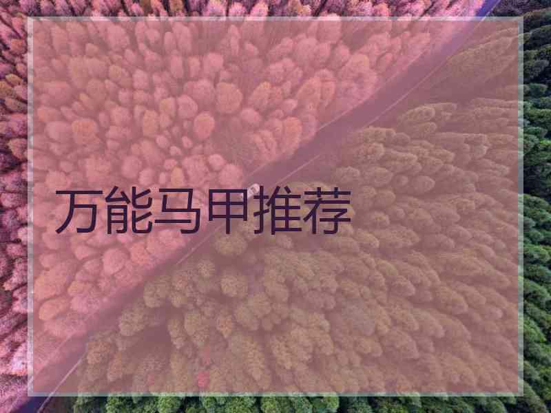 万能马甲推荐