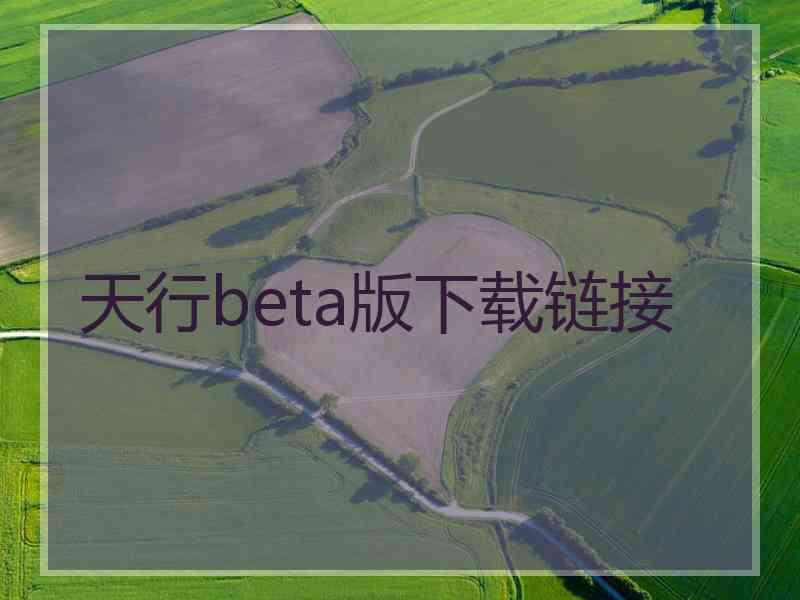 天行beta版下载链接