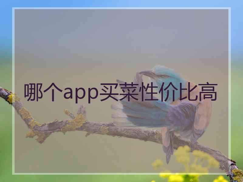 哪个app买菜性价比高