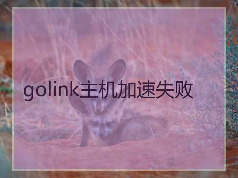 golink主机加速失败