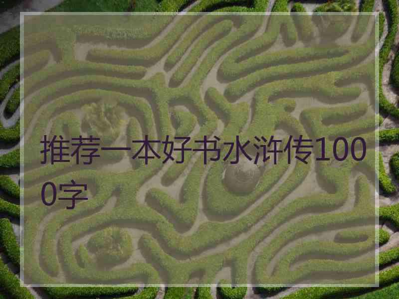 推荐一本好书水浒传1000字