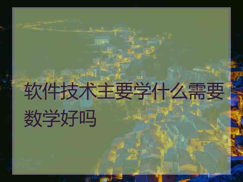 软件技术主要学什么需要数学好吗