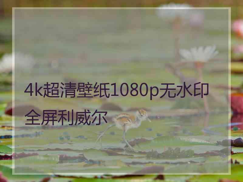 4k超清壁纸1080p无水印全屏利威尔