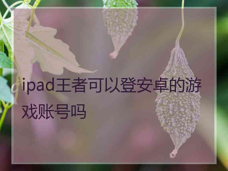 ipad王者可以登安卓的游戏账号吗