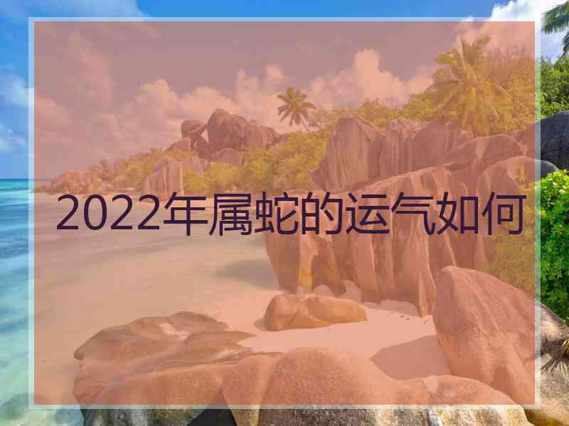 2022年属蛇的运气如何