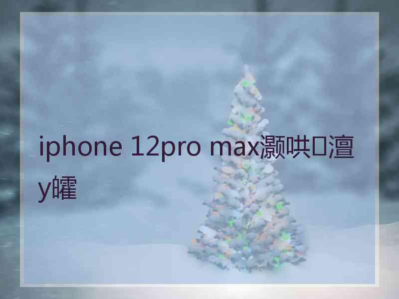 iphone 12pro max灏哄澶у皬