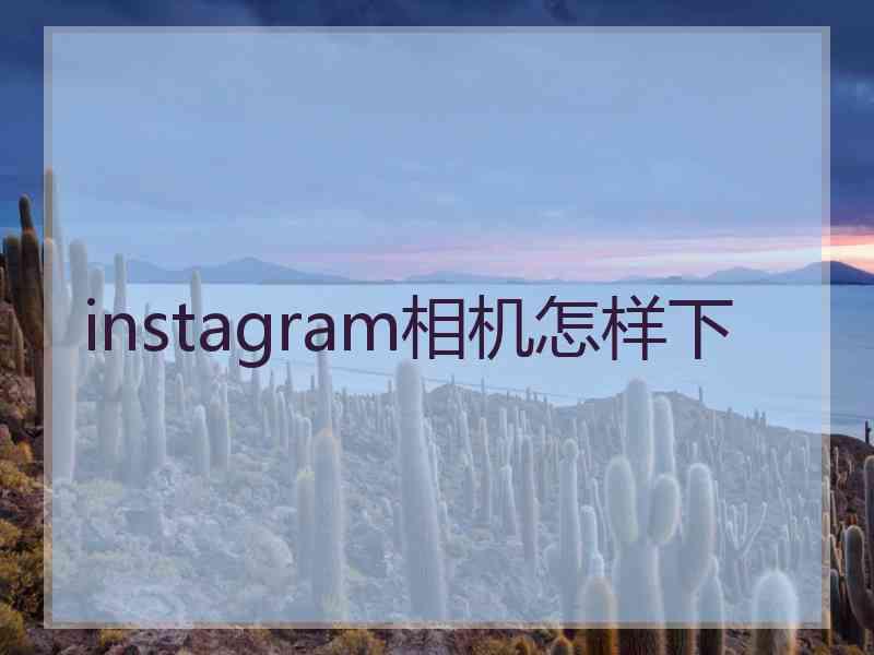 instagram相机怎样下