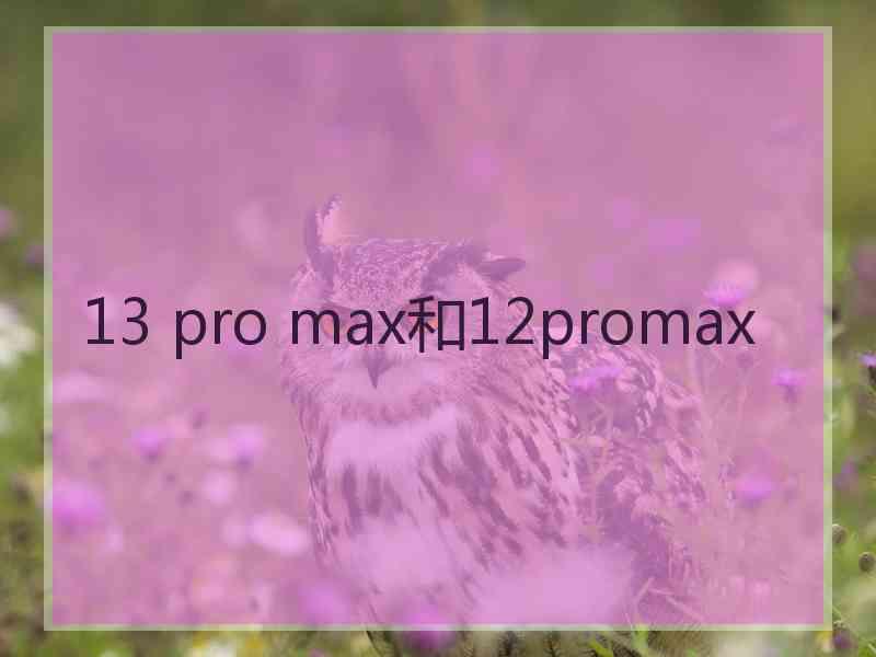 13 pro max和12promax