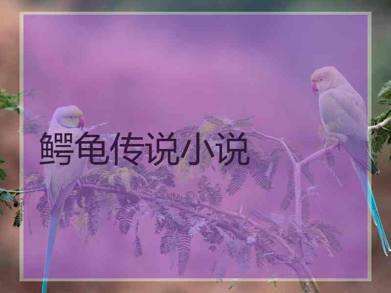 鳄龟传说小说