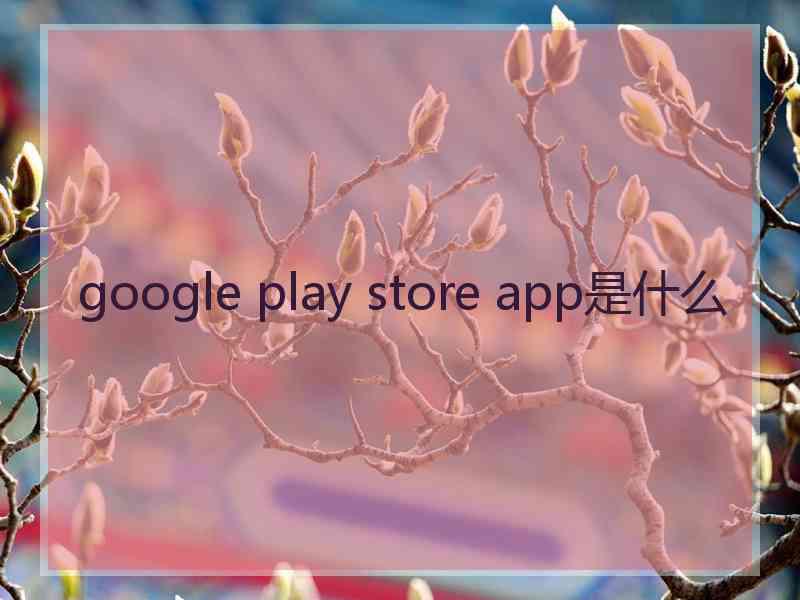 google play store app是什么