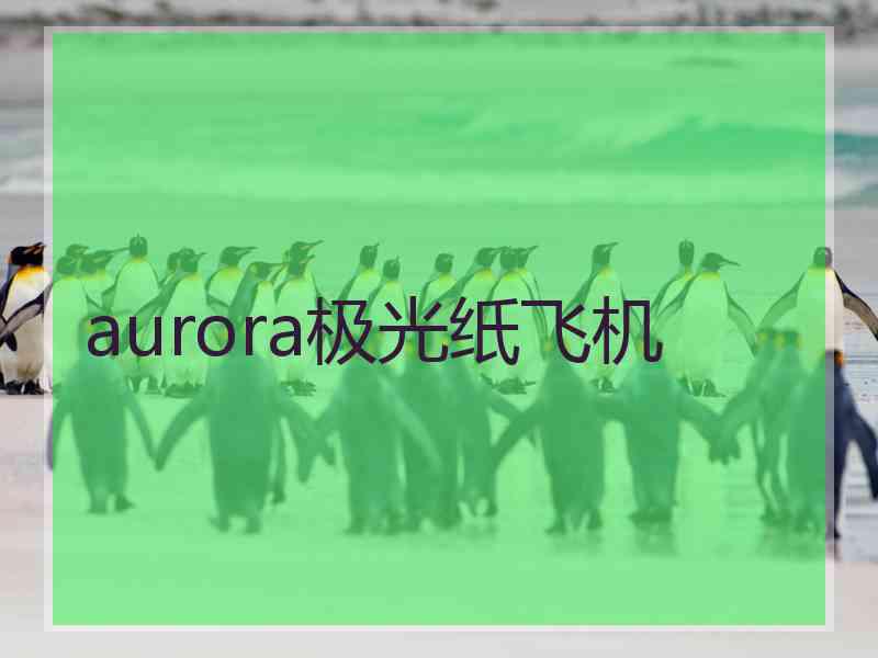 aurora极光纸飞机