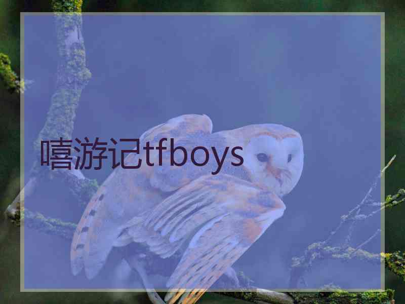 嘻游记tfboys