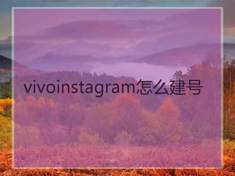 vivoinstagram怎么建号