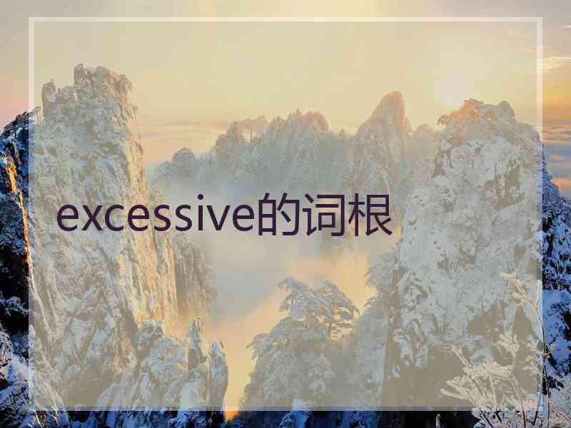 excessive的词根