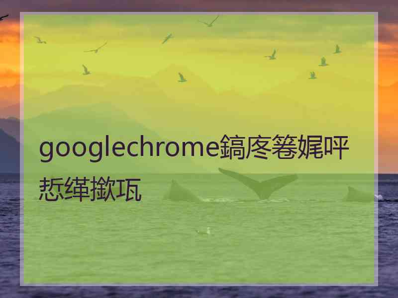 googlechrome鎬庝箞娓呯悊缂撳瓨