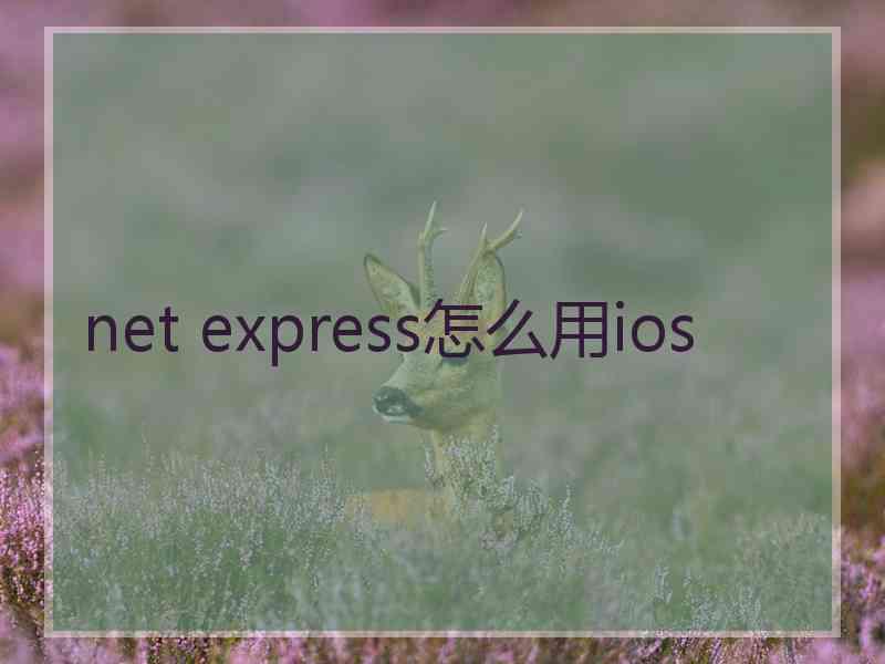 net express怎么用ios