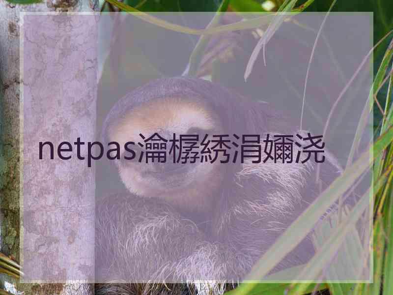 netpas瀹樼綉涓嬭浇