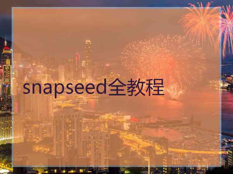 snapseed全教程