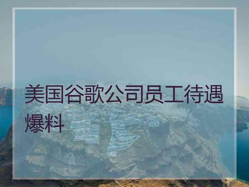 美国谷歌公司员工待遇爆料