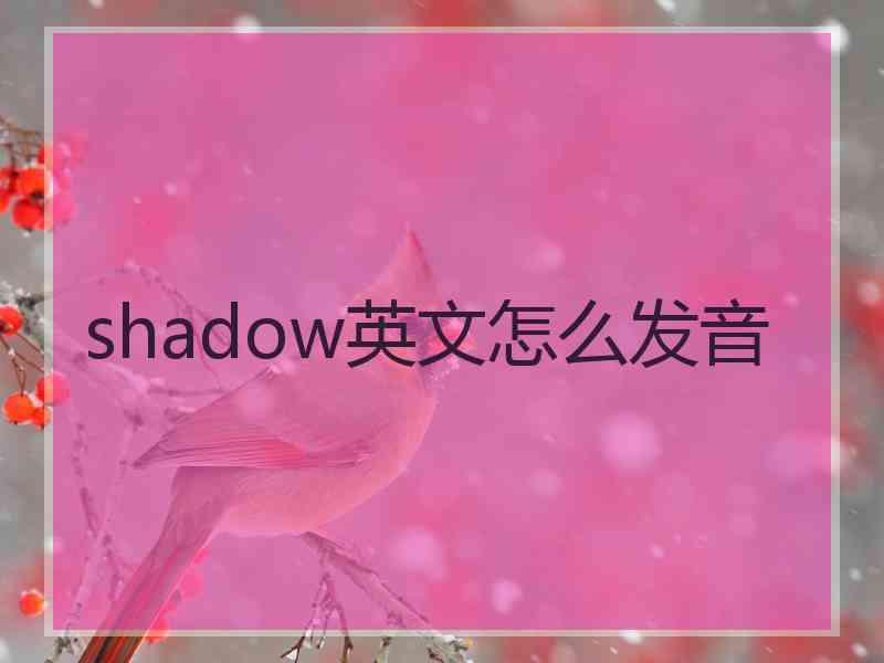 shadow英文怎么发音