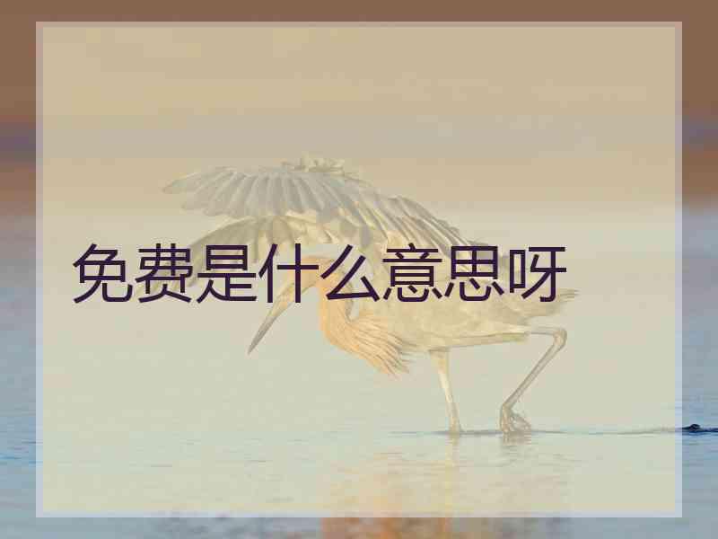 免费是什么意思呀