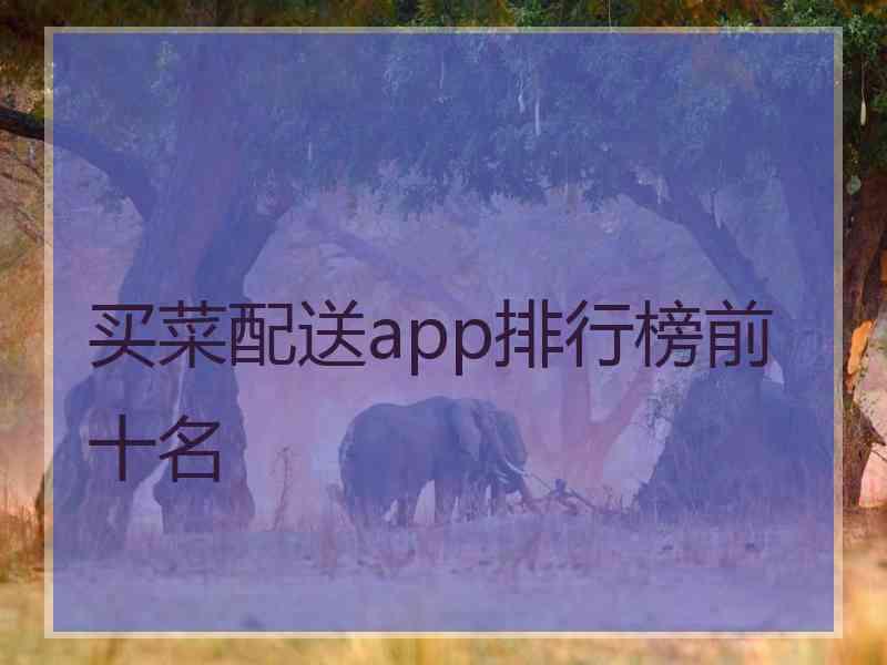 买菜配送app排行榜前十名