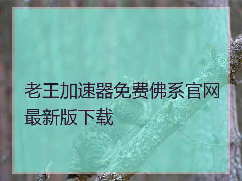 老王加速器免费佛系官网最新版下载