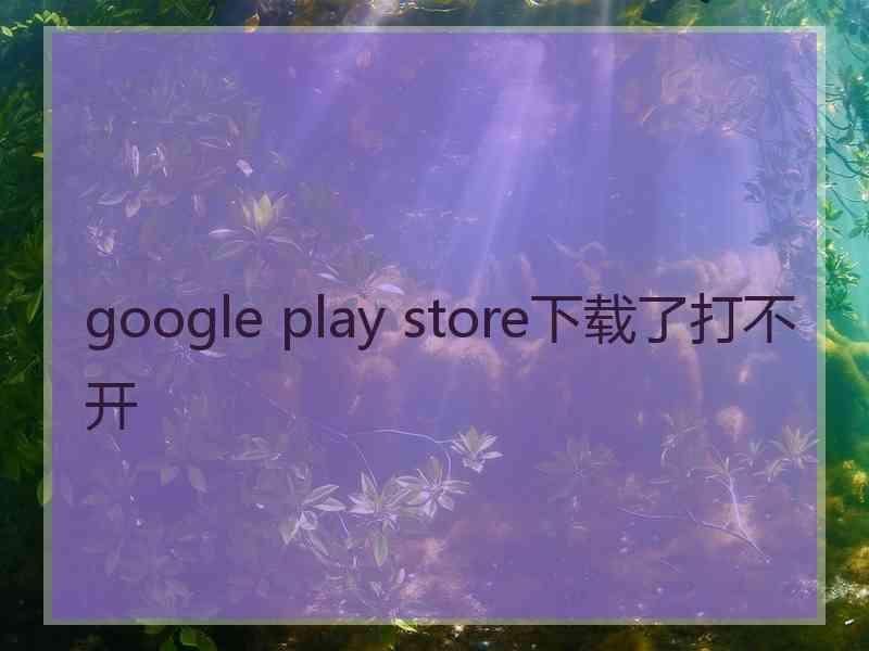 google play store下载了打不开