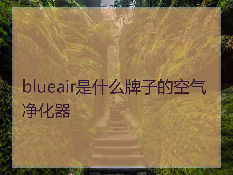 blueair是什么牌子的空气净化器