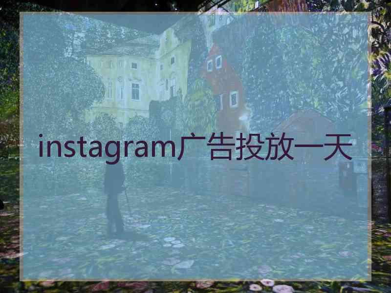 instagram广告投放一天