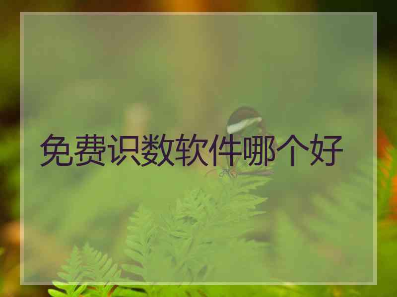 免费识数软件哪个好