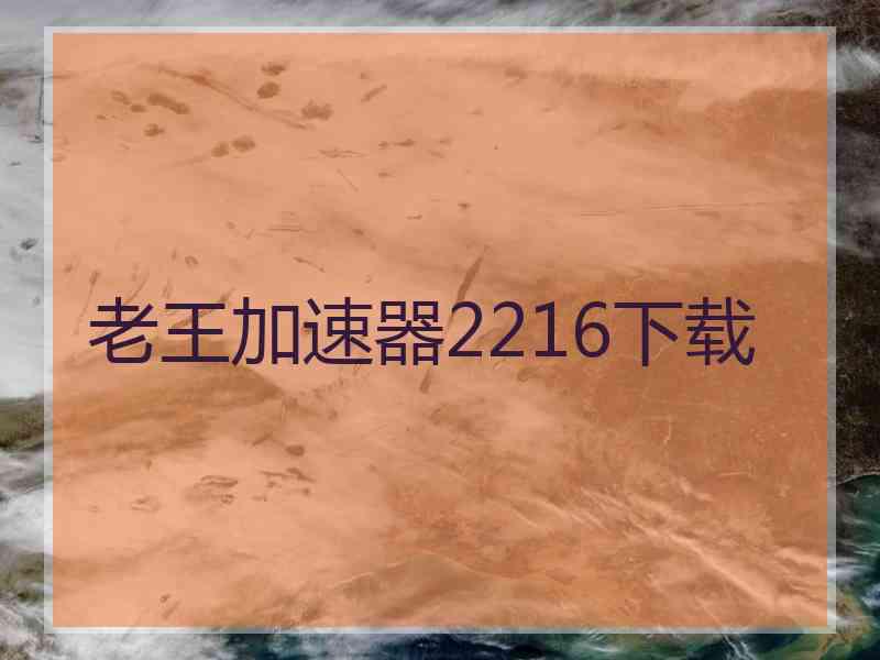 老王加速器2216下载