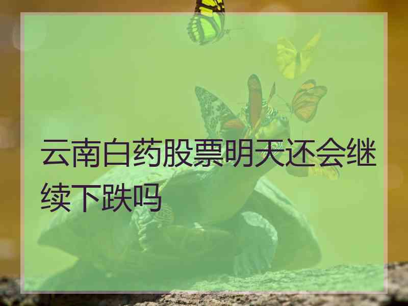 云南白药股票明天还会继续下跌吗