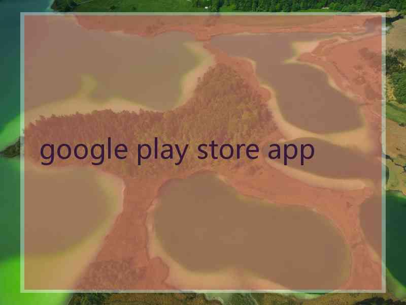 google play store app