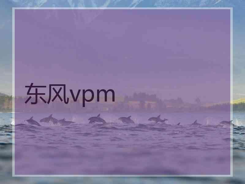 东风vpm