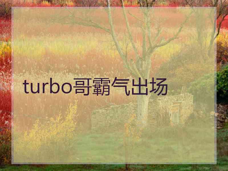 turbo哥霸气出场