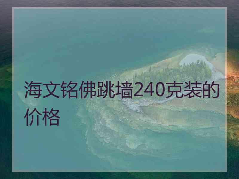 海文铭佛跳墙240克装的价格